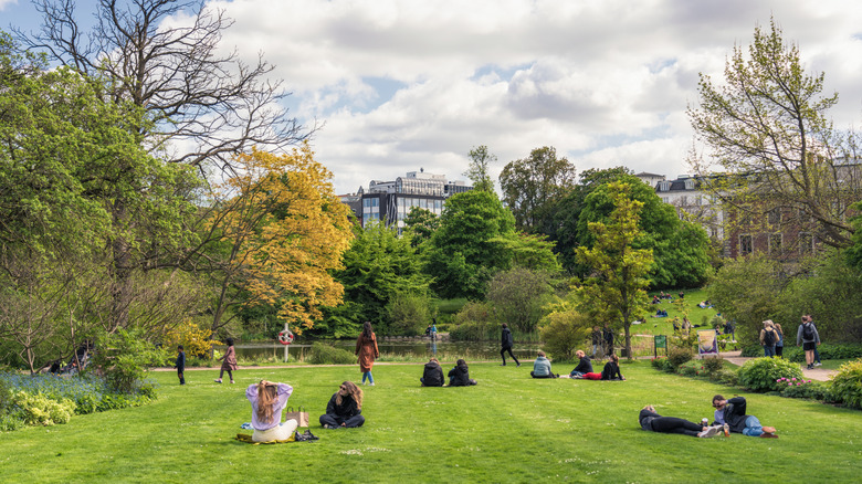 People sitting in the Botanical Gardens in Copenhagen