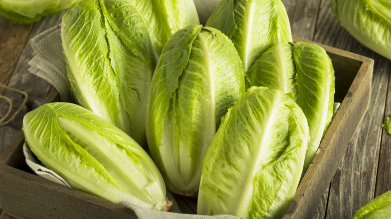 Green romaine hearts in a wooden box