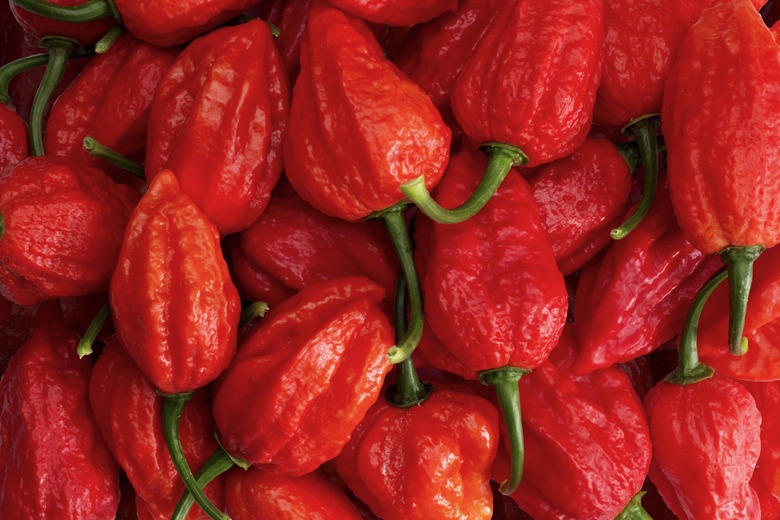 5 Spiciest Dishes in America to Try Before You Die