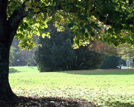 5 Unique Party Ideas