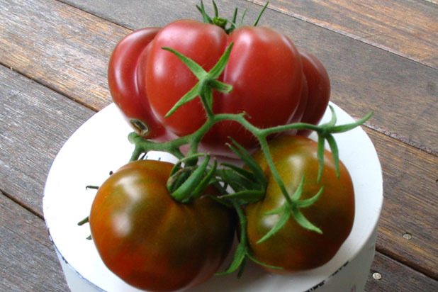 1840 Farm — The 1840 Farm Heirloom Seed Collection