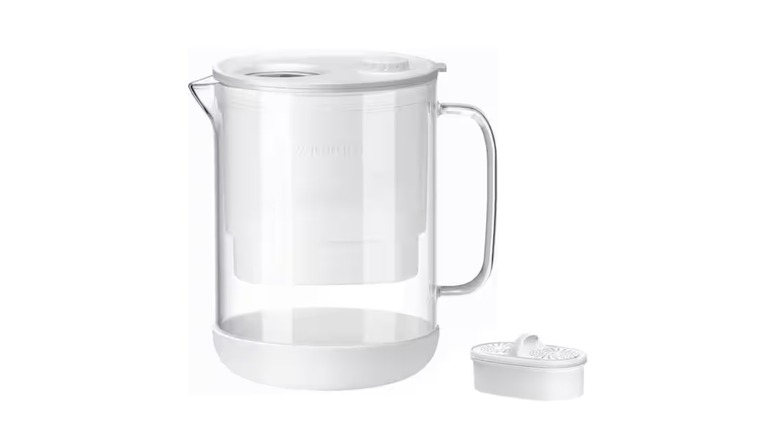 A water filter in a jug