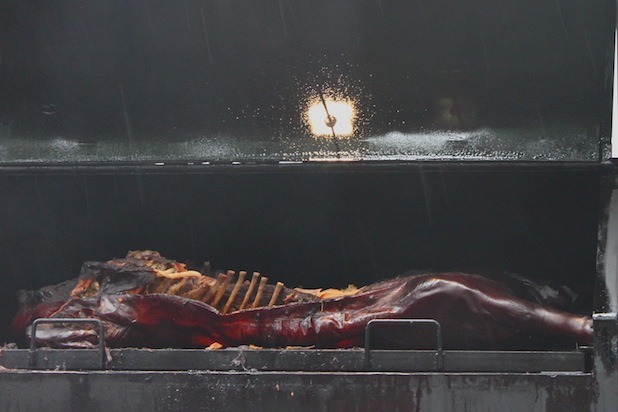 For the Aspiring Pitmaster on a Budget