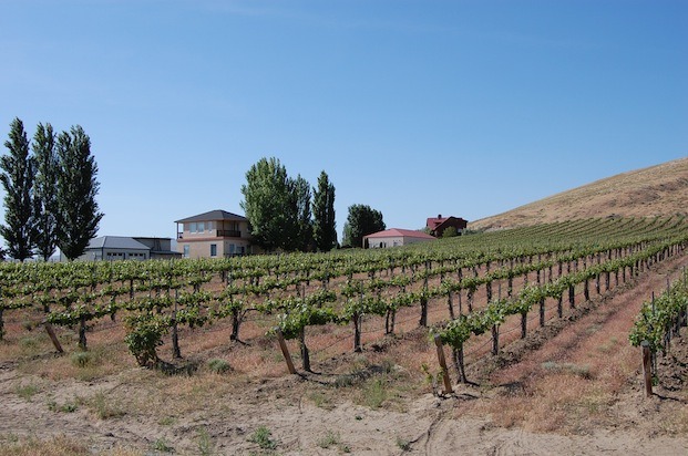 For the Outdoorsy Oenophile