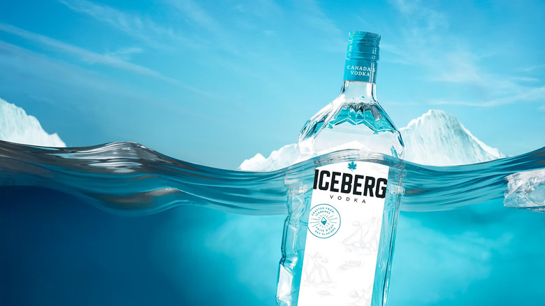 A bottle of Iceberg Vodka depicted floating in the ocean, with icebergs behind it