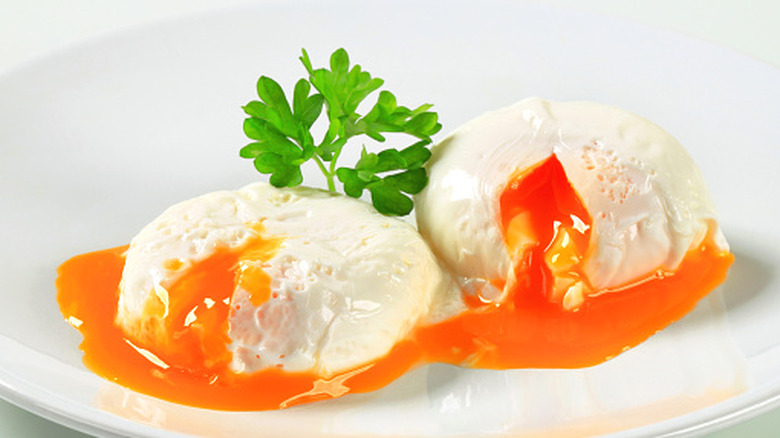 Two poached eggs with yolk running out on a white plate with a parsley garnish