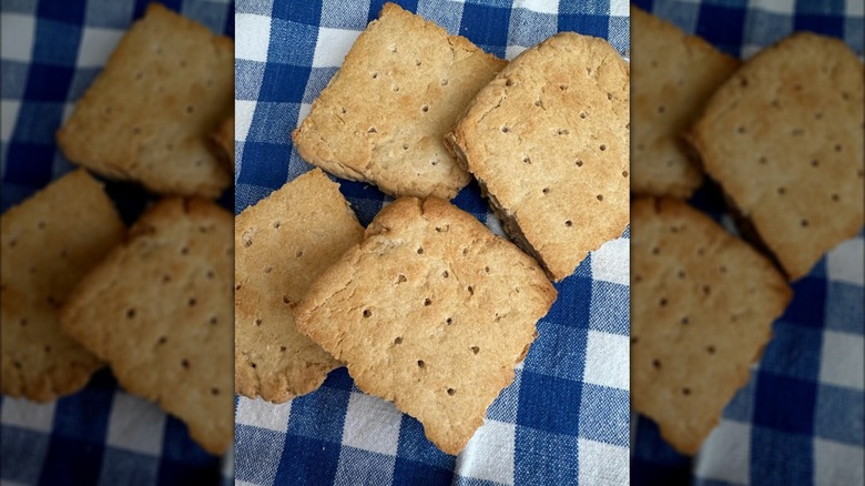 Four pieces of hardtack on blue and white tablecloth
