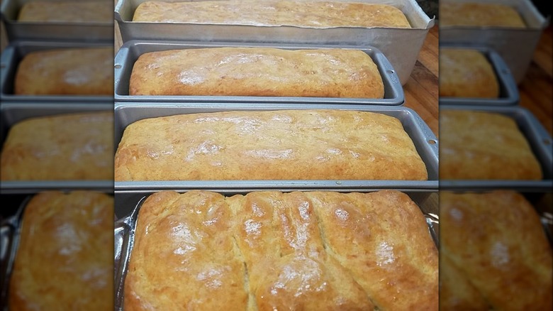Loaves of salt-rising bread in pans