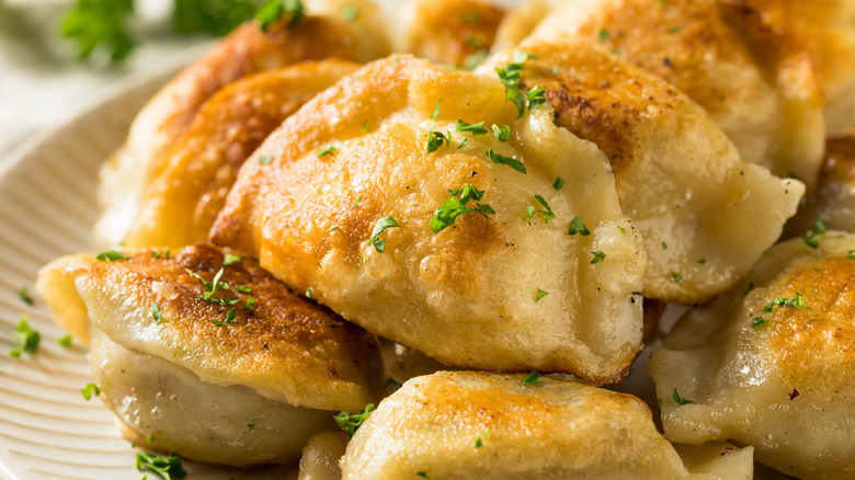 Plate of pierogi