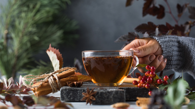 herbal tea with cinnamon sticks
