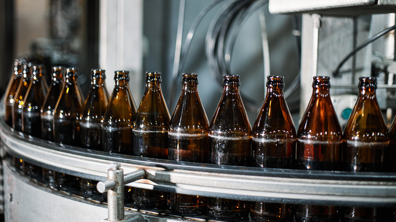 Unlabeled beer bottles on a machine line