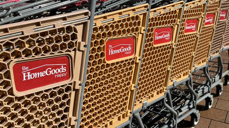HomeGoods shopping carts lined up