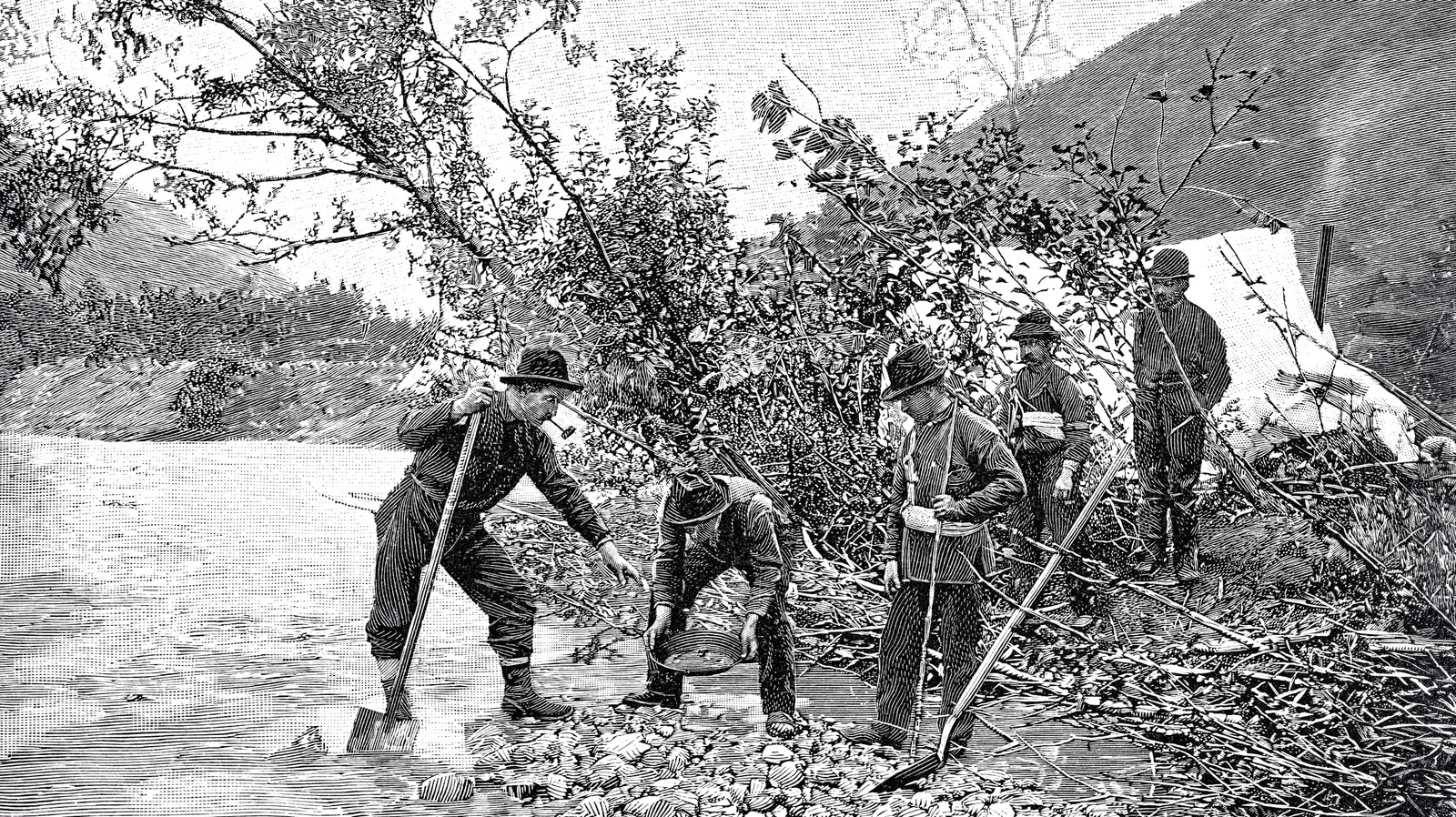 7 Classic Foods Gold Miners Ate Back In The Day