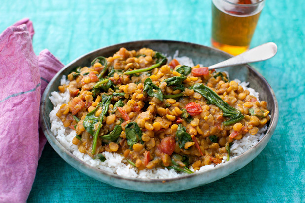  Plated | The Dish — Curried Lentil Stew