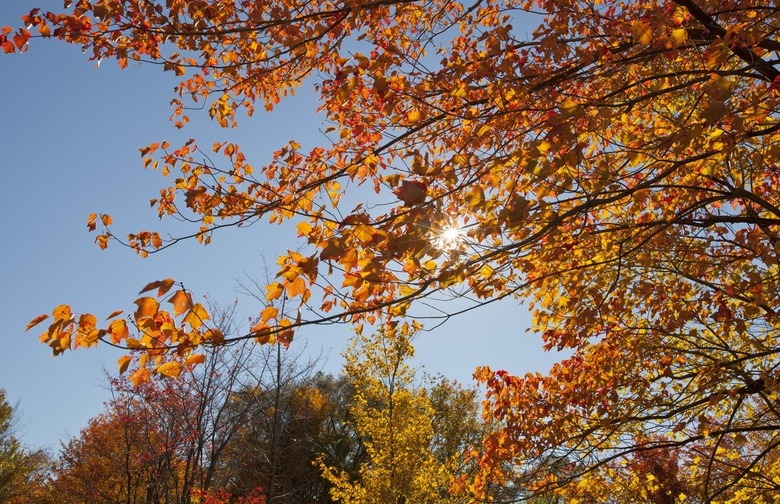 The Berkshires, Massachusetts