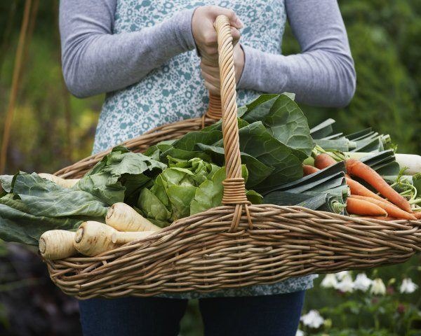 7 Reasons Organic Food is So Expensive