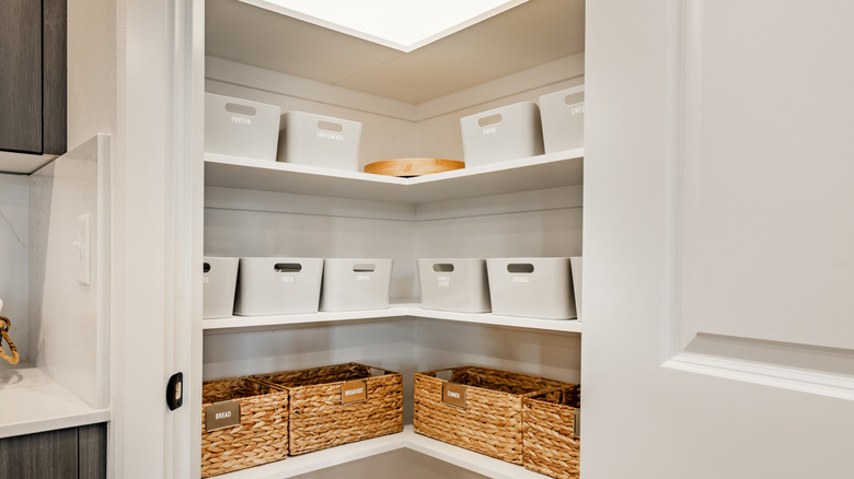 Kitchen pantry bins.