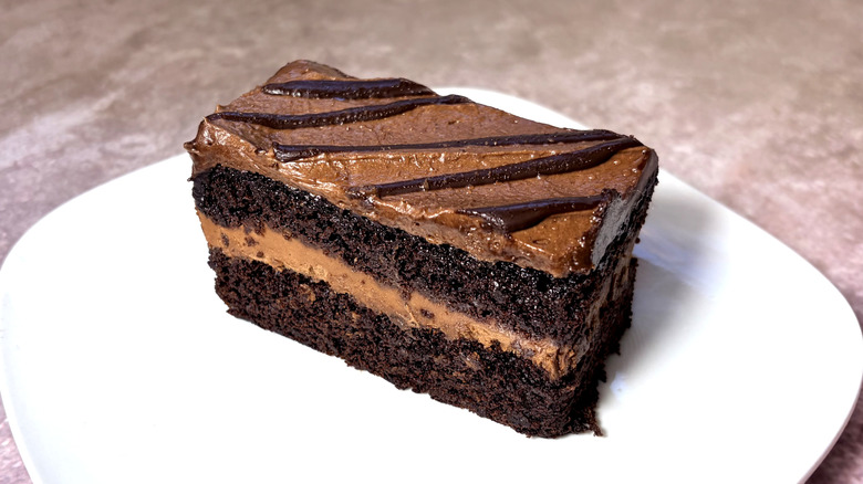 slice of two layer chocolate cake