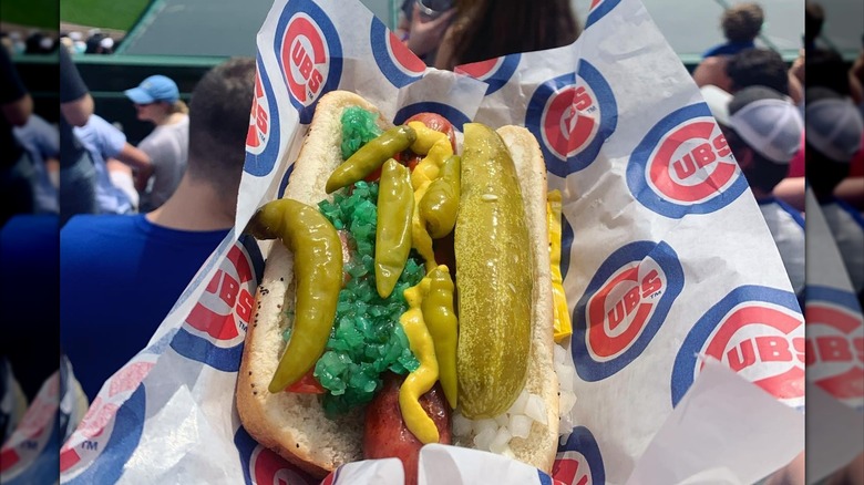 fan holding chicago dog at wrigley field