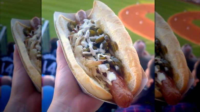 fan in the stadium stands holding a seattle dog