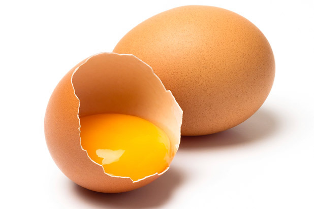 Fresh Eggs Daily — Egg Anatomy