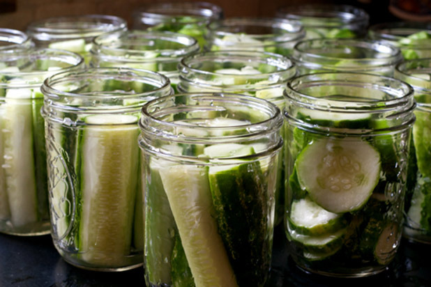 Cooking with Michelle — Classic Dill Pickles