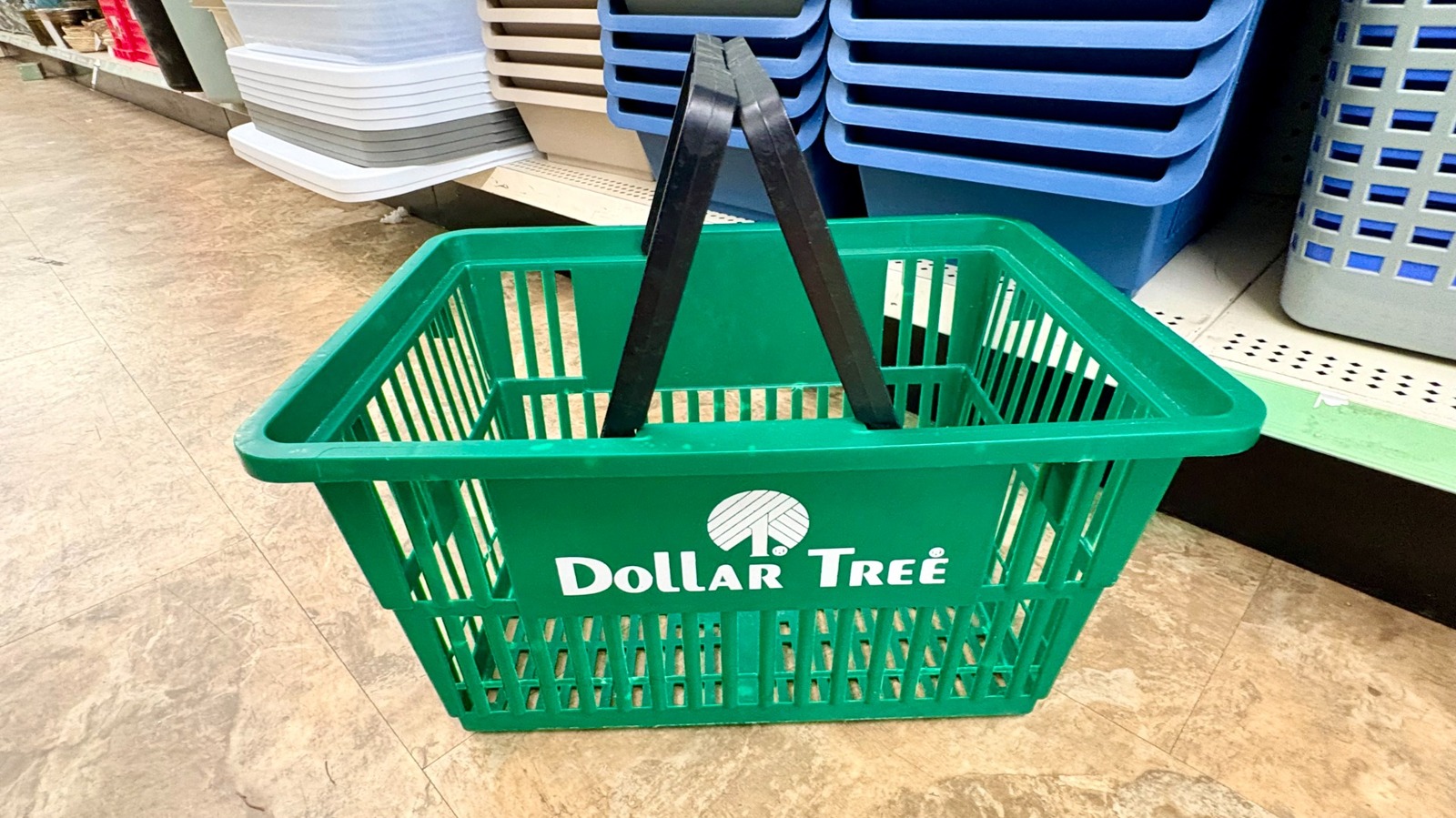 8 Dollar Tree Kitchen Storage Items That Aren't Worth Buying