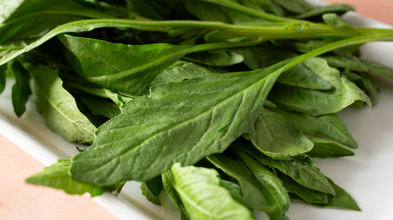 Pile of fresh epazote leaves