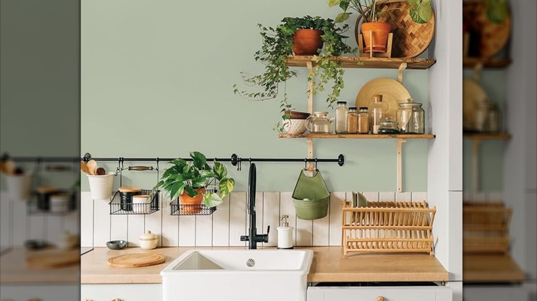 Glidden light sage green wall paint in a kitchen with open shelves with plants, spices, and bowls on it.