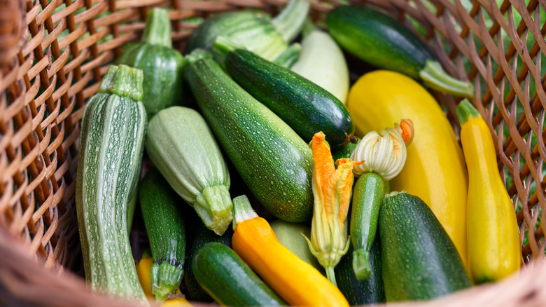 Basket of fresh summer squash