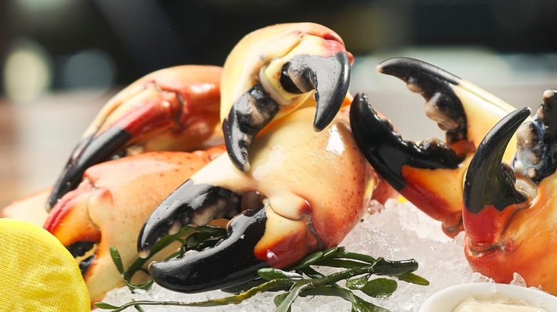 Stone crab claws at Truluck's