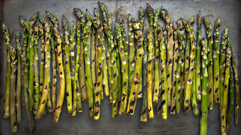 A large tray of grilled asparagus showing grill marks