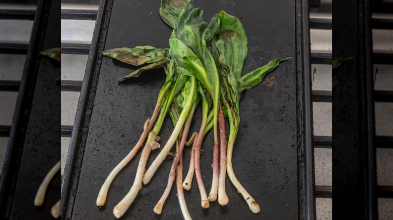 10 rwhole amps, grilled until gently charred and leaves wilted