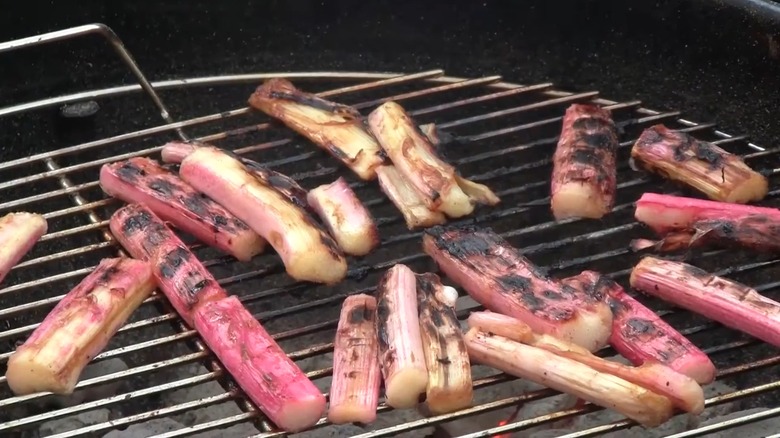 Grilled and charred pieces of rhubarb sitting on a charcoal grill