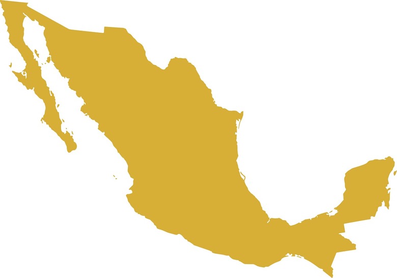 It Originated in Mexico