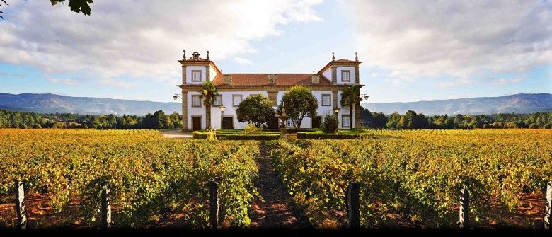8 Things You May Not Know About Vinho Verde (but Probably Should)