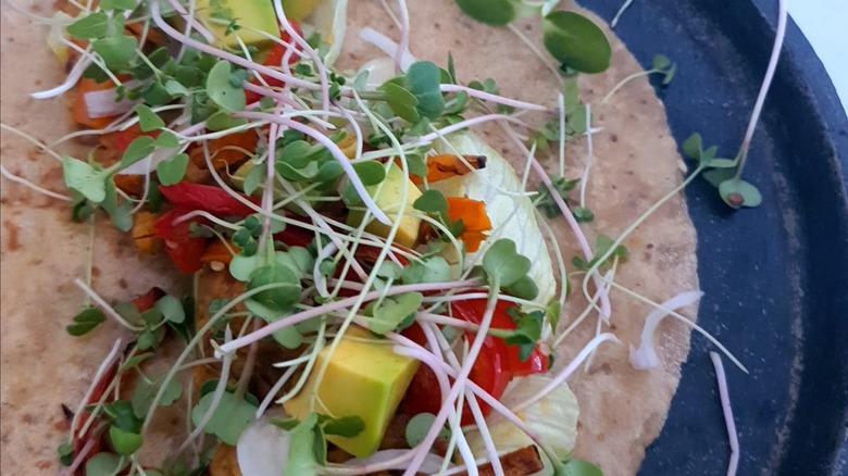 A close-up of a taco made with an amaranth tortilla