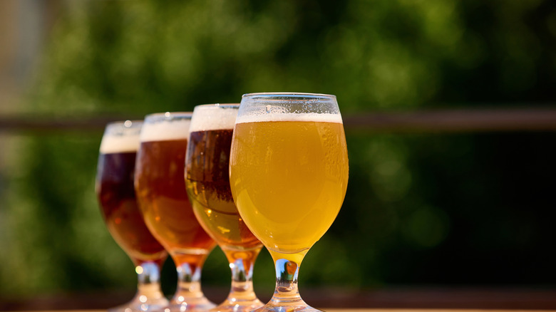 four glasses of beer ranging in color from gold to brown
