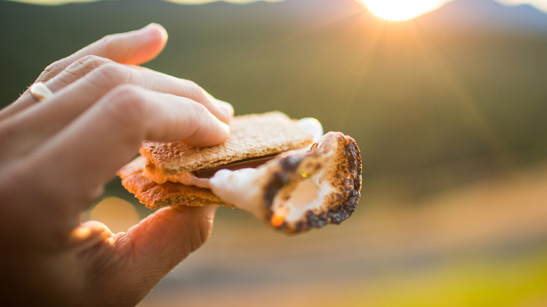 A person holding a s'more