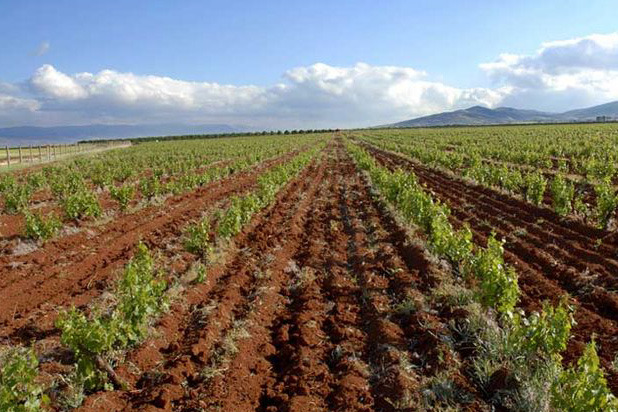 Bekaa Valley, Lebanon