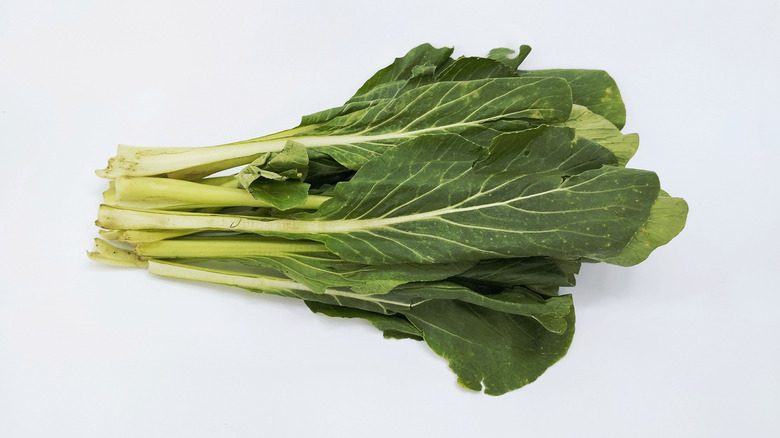 mustard greens on a white background
