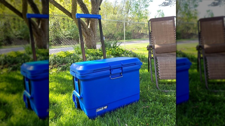 Coleman Pro premium wheeled hard cooler in the grass with patio chair