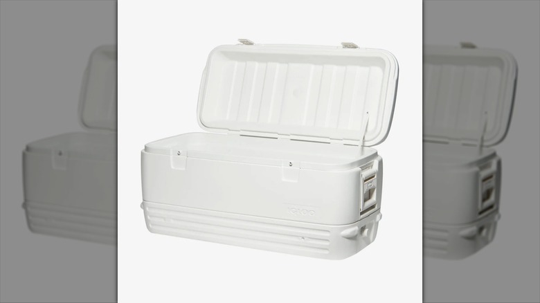 Igloo Polar cooler