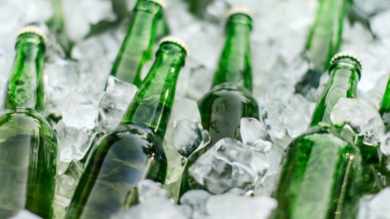 Green glass beer bottles on ice