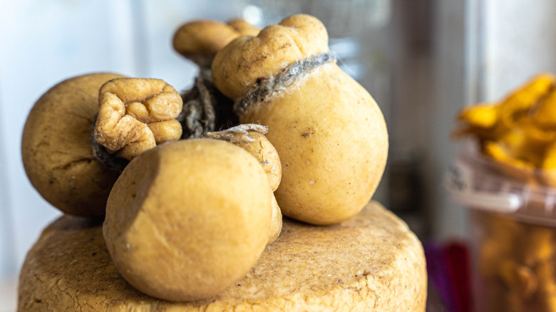 Rounds of Caciocavallo cheese