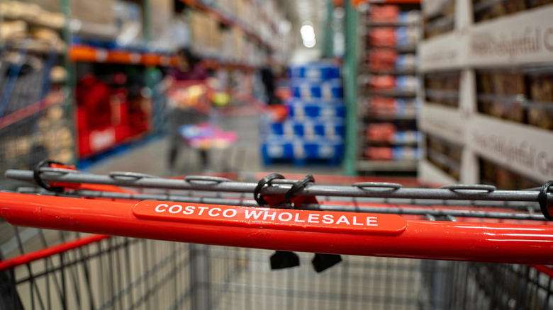Pushbar on a Costco shopping cart, inside a Costco aisle