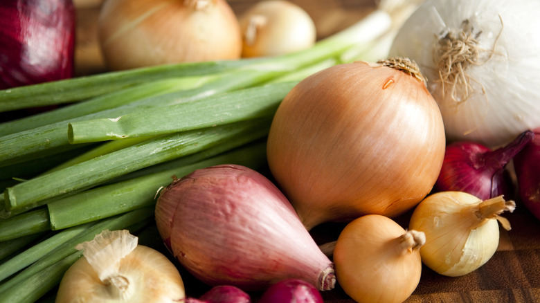 various types of onions