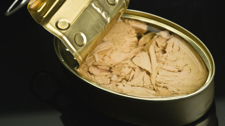 open tuna can black background