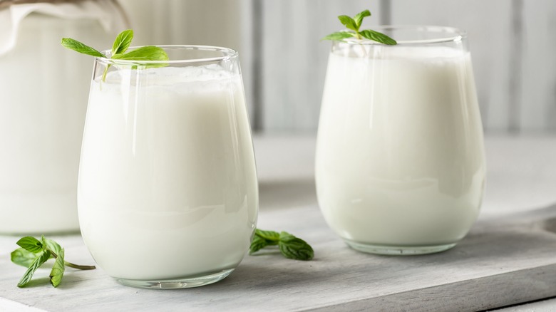 Two glasses of plain kefir with mint