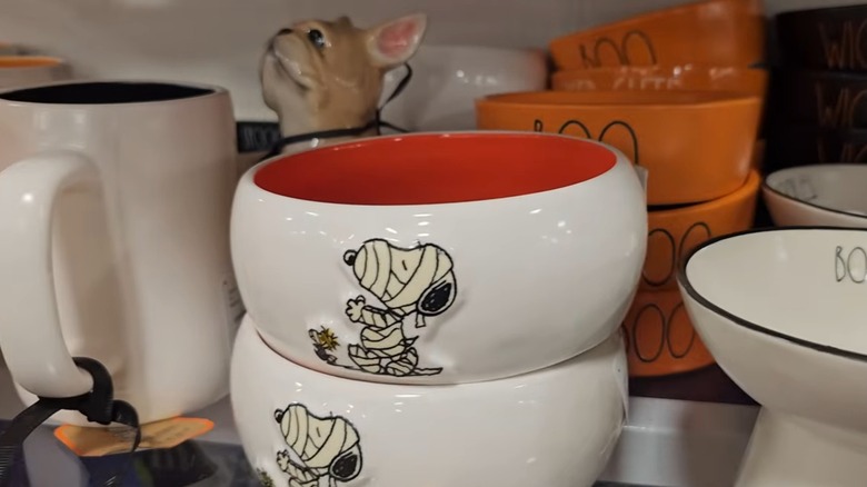 White bowl with Snoopy and Woodstock dressed as mummies